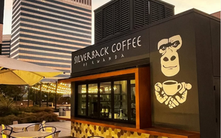 Silverback Coffee of Rwanda