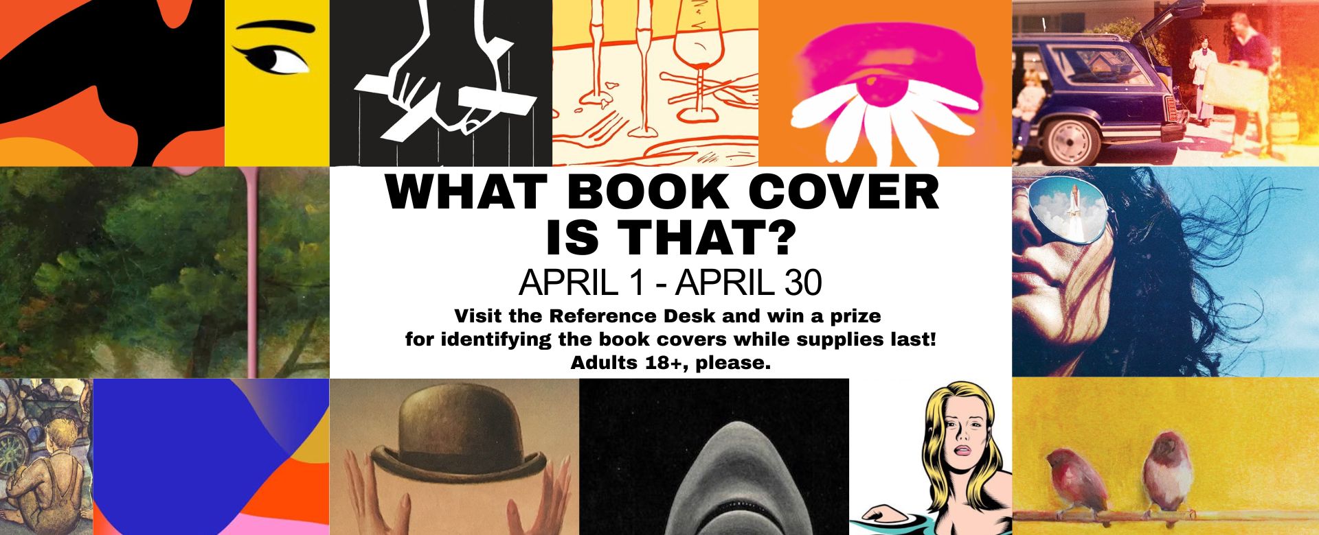 Book Covers Adult Banner